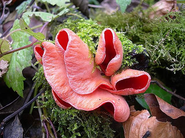 Nel  Regno  della  Jurana